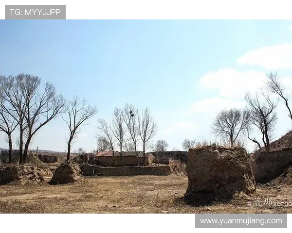 尊龙认树：如何通过认树活动传承中华民族的自然崇拜与文化认同