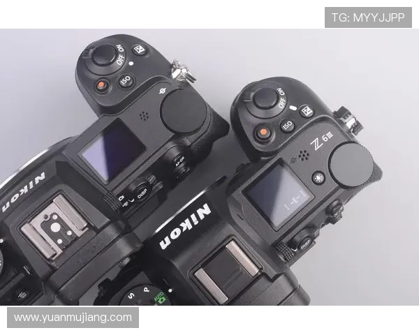 Z6用现：提升拍摄效率的Z6相机实用技巧与操作建议