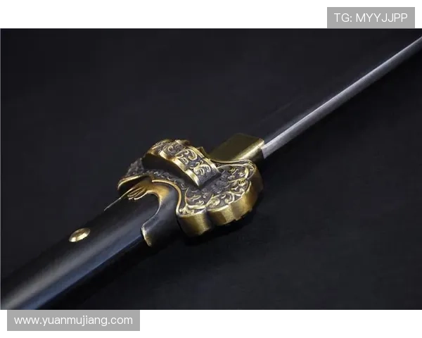 尊龙z6官网入口官方渠道推荐确保玩家安全畅玩尊龙z6游戏平台