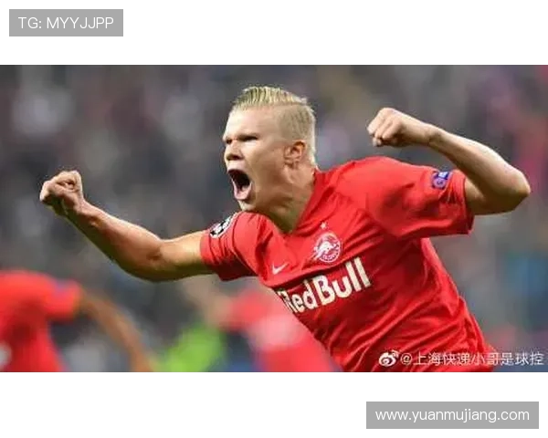 尊龙z6.com在线注册平台支持多设备登录提供灵活便捷的注册方式满足不同用户需求