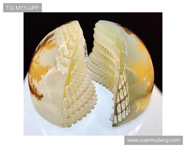 尊龙凯时在线官方用户评价与口碑分析，真实玩家体验分享与建议