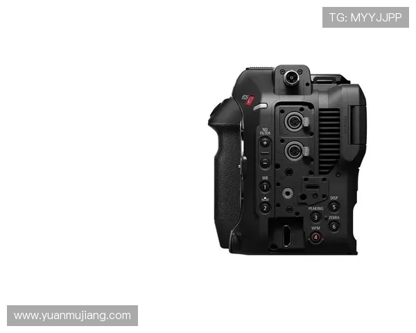 尊龙z6手机版下载官方渠道安全下载指南,确保您的设备安全与游戏顺畅 尊龙z6手机版下载官方渠道安全下载指南,确保您的设备安全与游戏顺畅