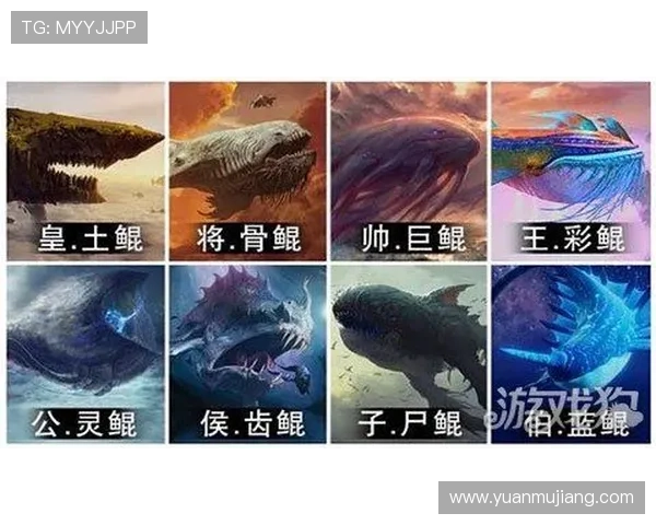 尊龙旗舰网站客户服务与常见问题解答,解决玩家在游戏过程中遇到的各种疑难问题 尊龙旗舰网站客户服务与常见问题解答,解决玩家在游戏过程中遇到的各种疑难问题