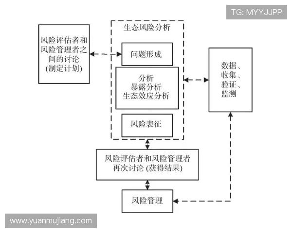 深入了解尊龙直营的投资价值与风险评估