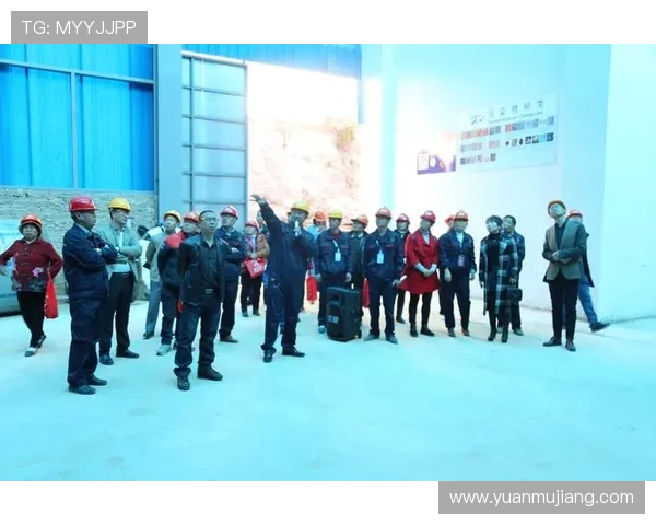 解读尊龙官方网址的最新优惠活动及其参与方式